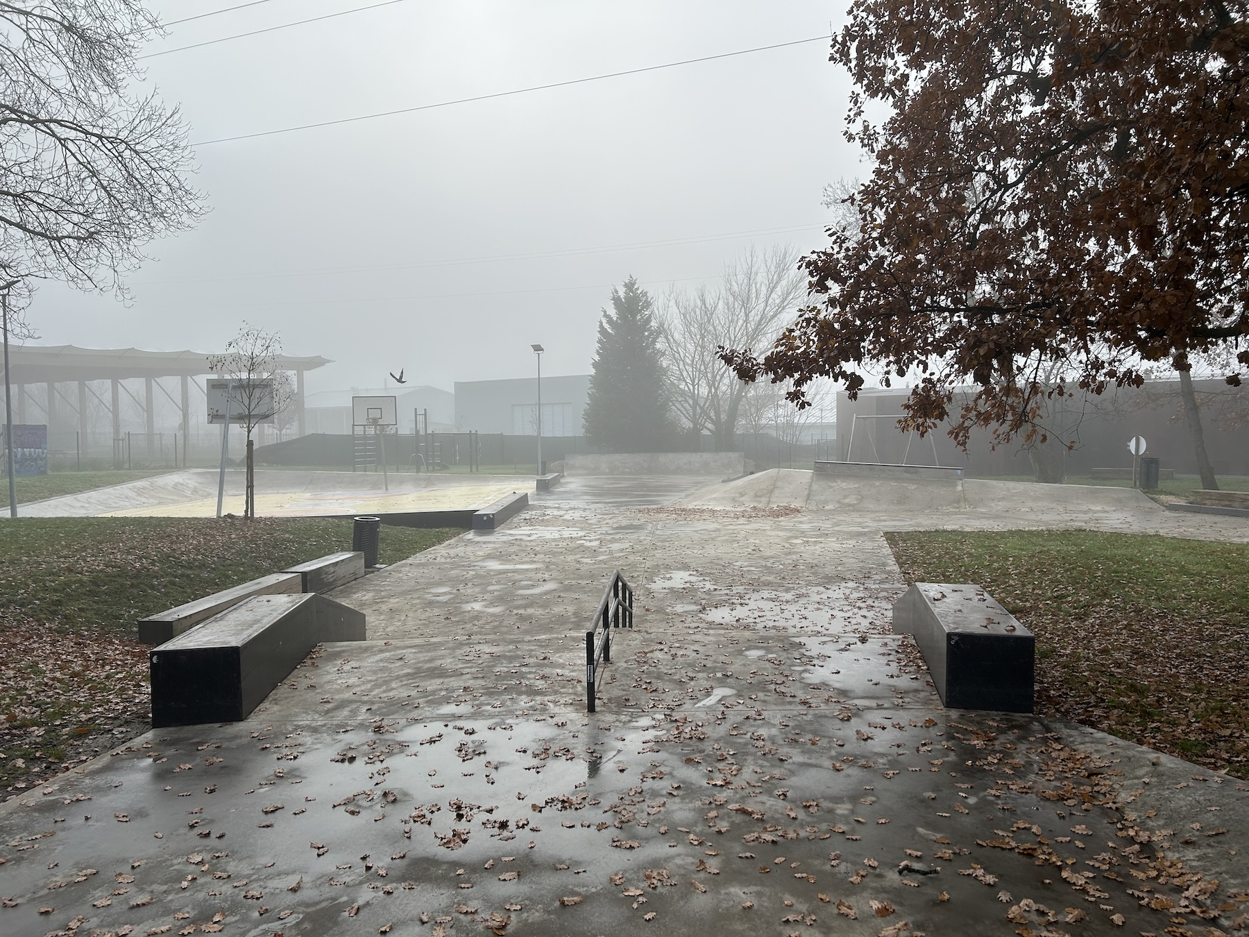 Bassens skatepark